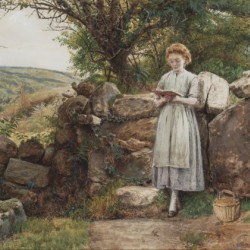 A peaceful read 1869